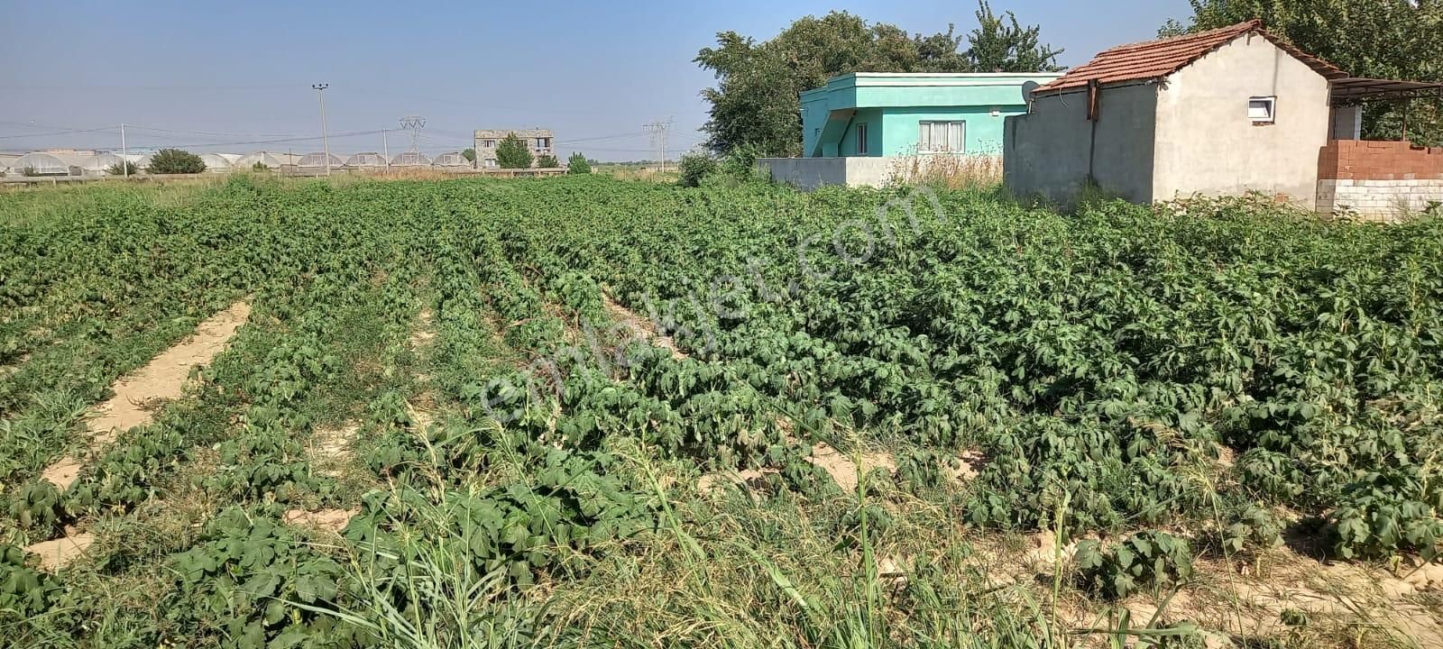 Gölbaşı Emirler 'de 14 Dönüm Tek Tapulu Satılık Bağ Evli Tarla+bahçe - Görsel 9