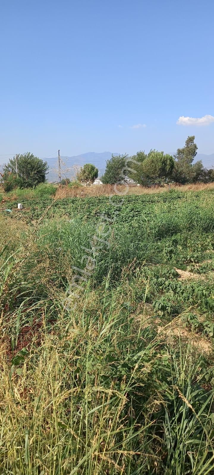 Gölbaşı Emirler 'de 14 Dönüm Tek Tapulu Satılık Bağ Evli Tarla+bahçe - Görsel 5
