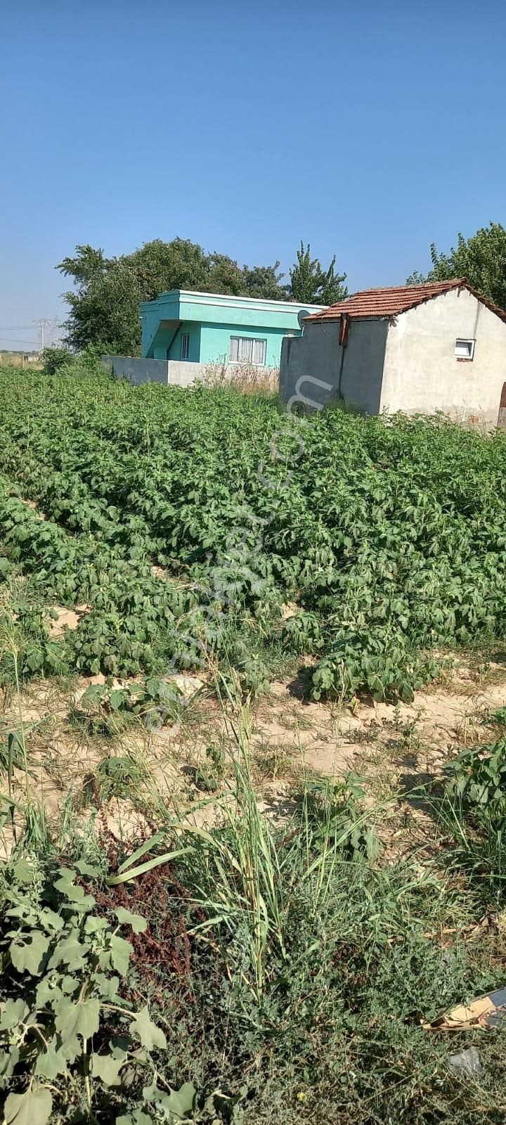 Gölbaşı Emirler 'de 14 Dönüm Tek Tapulu Satılık Bağ Evli Tarla+bahçe