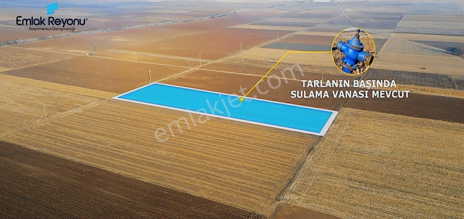 Emlak Reyonu Yollarbaşında 3,5 Dönüm Tarla Satıyor - Görsel 2