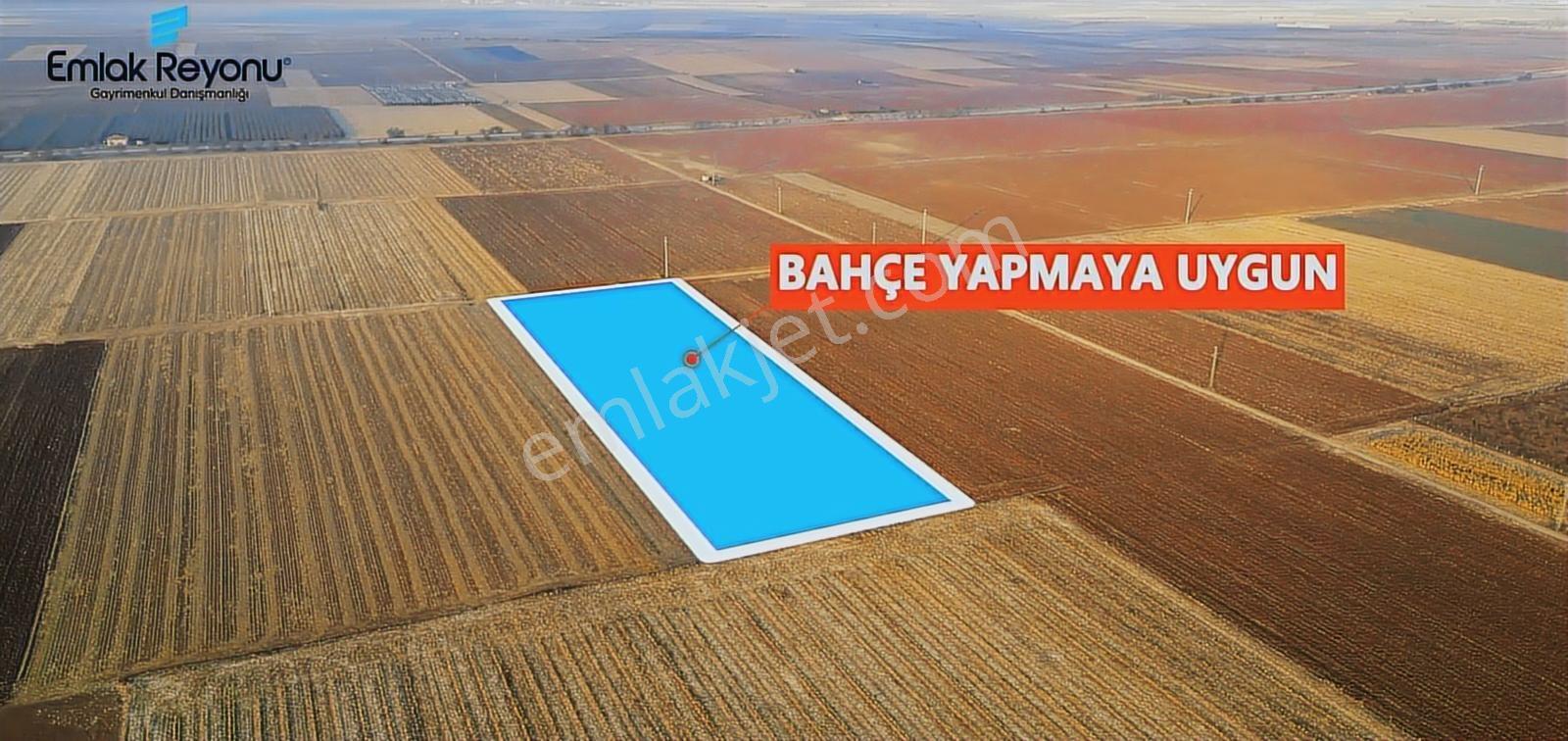 Emlak Reyonu Yollarbaşında 3,5 Dönüm Tarla Satıyor - Görsel 15