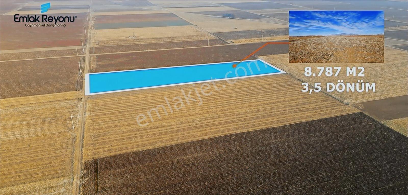 Emlak Reyonu Yollarbaşında 3,5 Dönüm Tarla Satıyor
