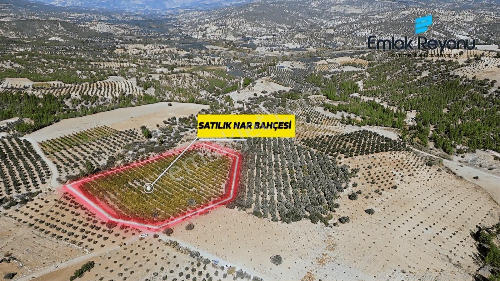 Emlak Reyonu Mut Işıklar Köyünde Nar Bahçesi Satıyor - Görsel 9