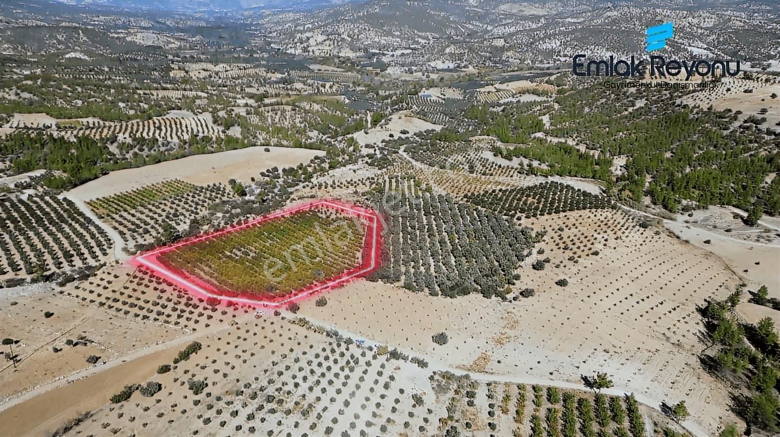 Emlak Reyonu Mut Işıklar Köyünde Nar Bahçesi Satıyor - Görsel 5