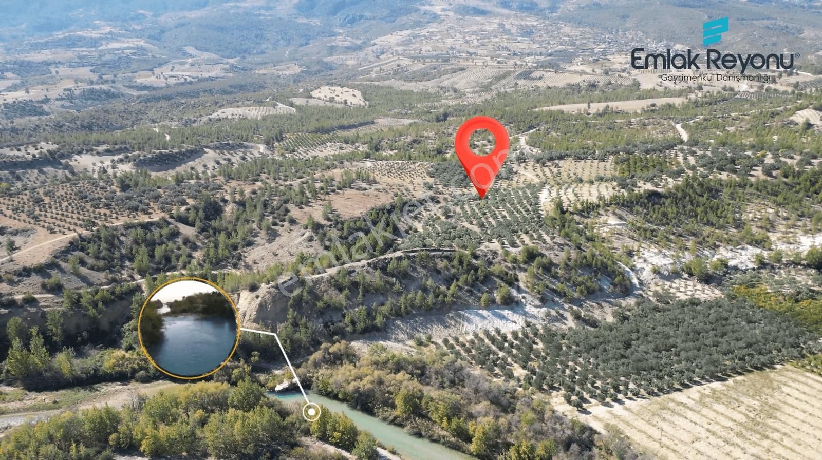 Emlak Reyonu Mut Işıklar Köyünde Zeytin Bahçesi Satıyor - Görsel 7