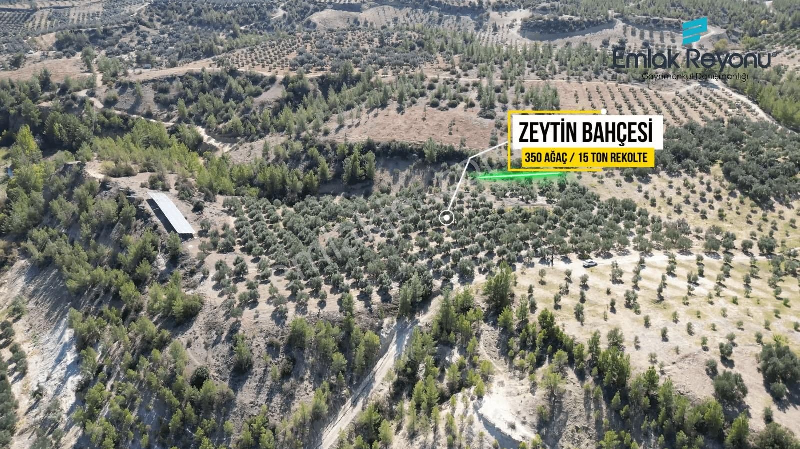 Emlak Reyonu Mut Işıklar Köyünde Zeytin Bahçesi Satıyor - Görsel 3