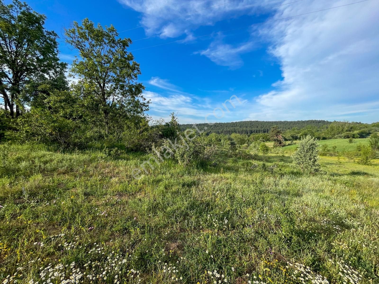 Karabük Eflani Göller'de 701 M² Asfalta Çok Yakın İmarlı Arsa ! - Görsel 33