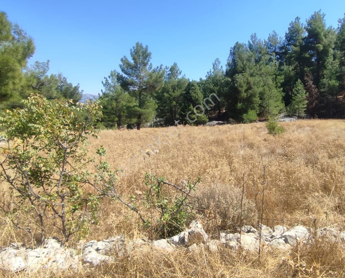 Antalya Akseki'de Satılık Bağ &bahçe Muhteşem Fiyat Kaçırmayınız - Görsel 5