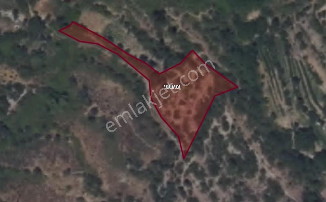 Antalya Akseki'de Satılık Bağ &bahçe Muhteşem Fiyat Kaçırmayınız - Görsel 6