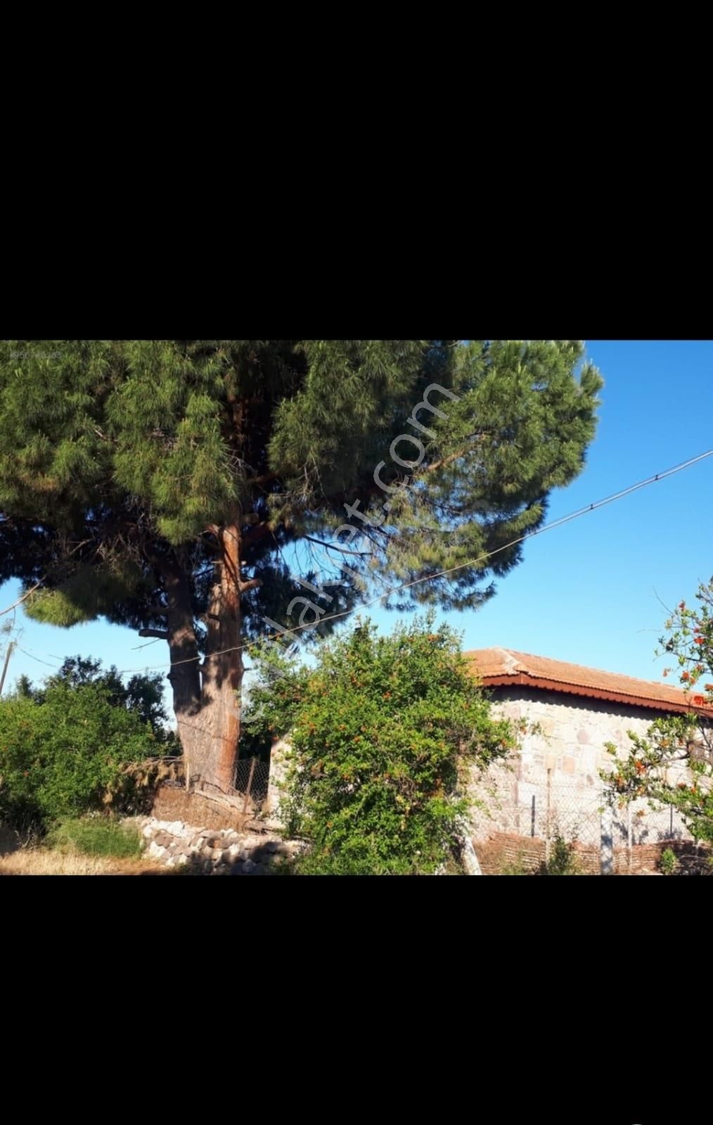 Newcıty Emlaktan Bademlide Müstakil Bahçeli Kiralık Taş Ev - Görsel 5