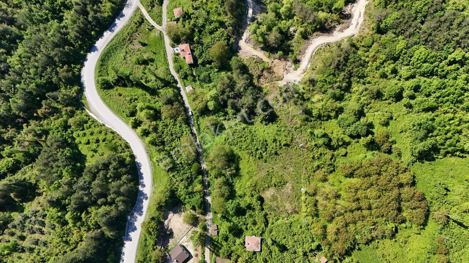 Remax Natural'den Yakabaşı Köyünde Satılık Tarla