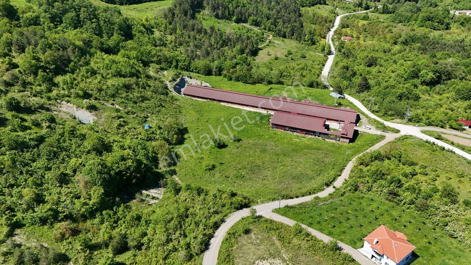 Remax Natural'den Kastamonu Abana Yemeni Köyünde Çiftlik - Görsel 2