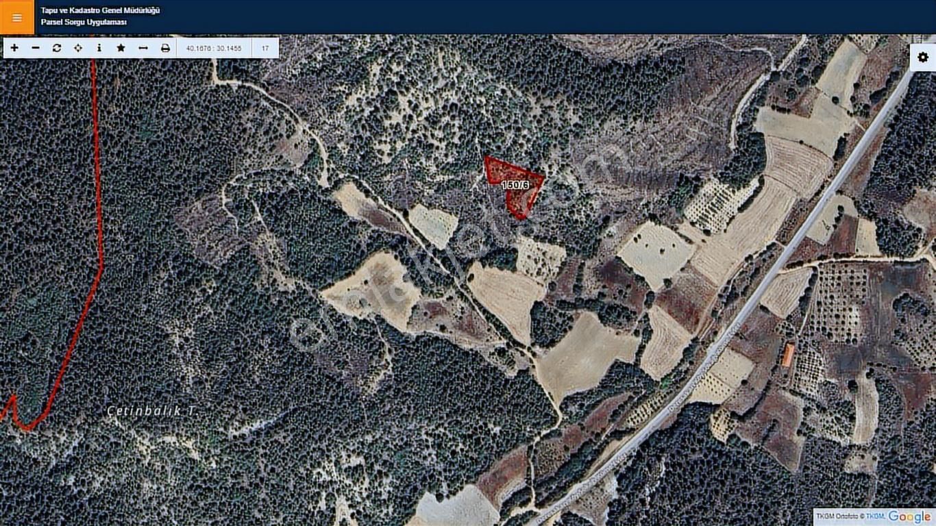 Başkan Emlaktan Satılık Bilecik Merkez Deresakarı 2.885 M2 Bağ - Görsel 19
