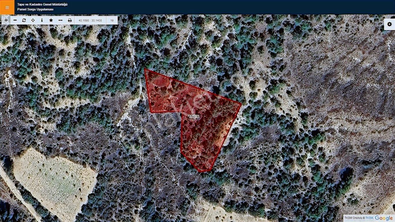 Başkan Emlaktan Satılık Bilecik Merkez Deresakarı 2.885 M2 Bağ