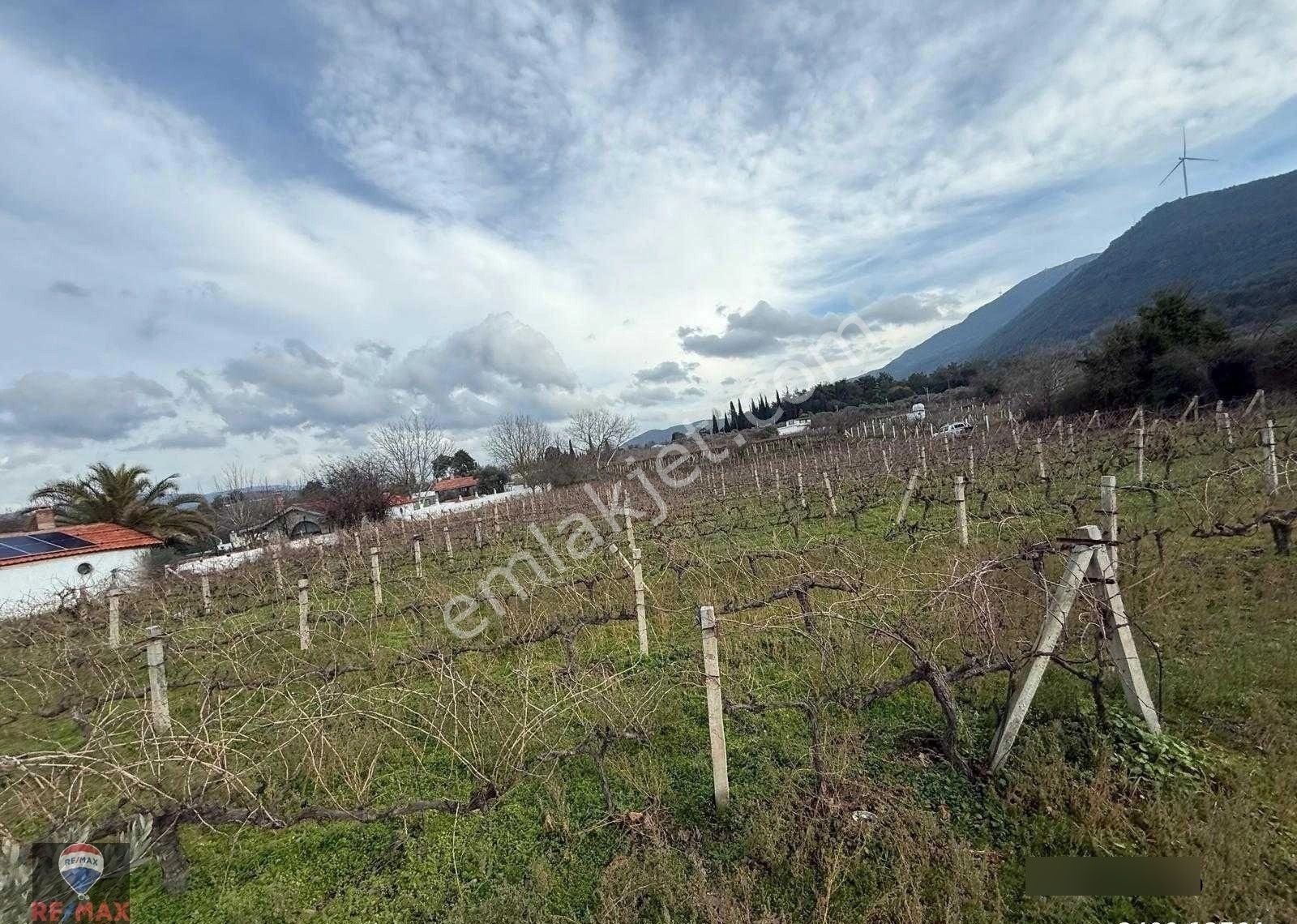 Kuşadası Kırazlı Köy Içınde Tek Tapu Satılık Bahçe - Görsel 11