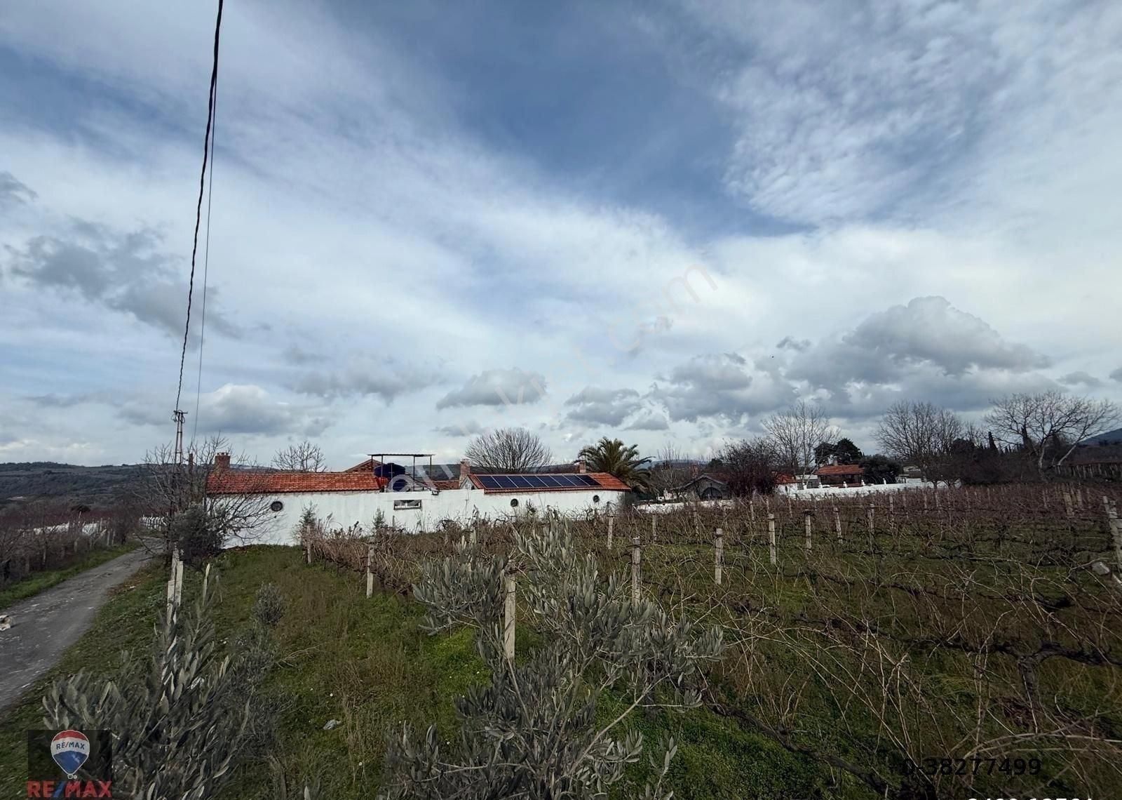 Kuşadası Kırazlı Köy Içınde Tek Tapu Satılık Bahçe - Görsel 9