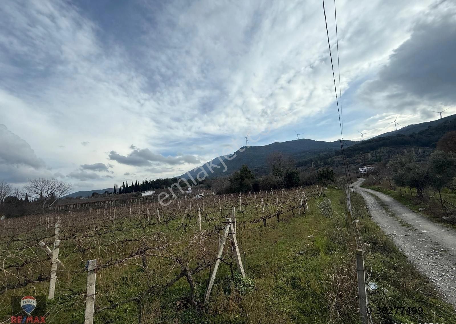 Kuşadası Kırazlı Köy Içınde Tek Tapu Satılık Bahçe - Görsel 15