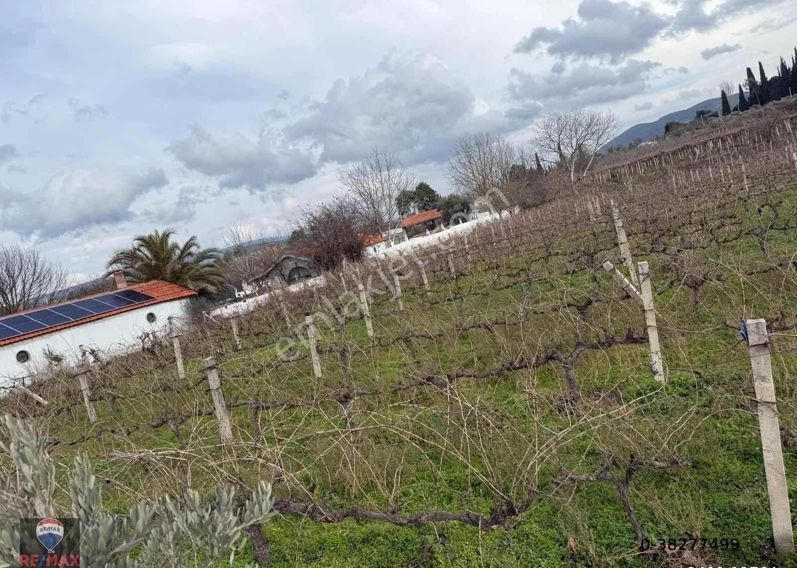 Kuşadası Kırazlı Köy Içınde Tek Tapu Satılık Bahçe - Görsel 14