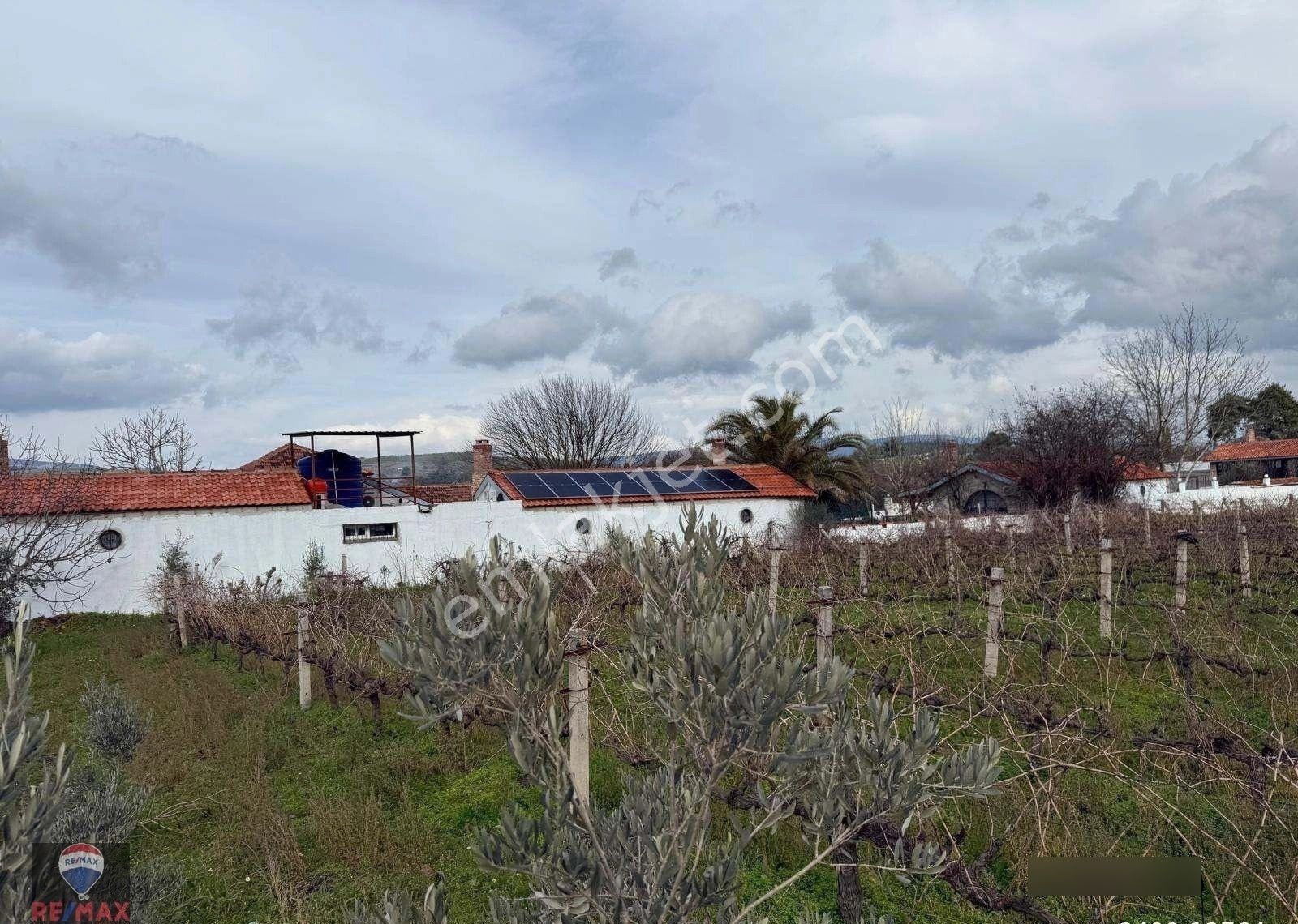 Kuşadası Kırazlı Köy Içınde Tek Tapu Satılık Bahçe - Görsel 12