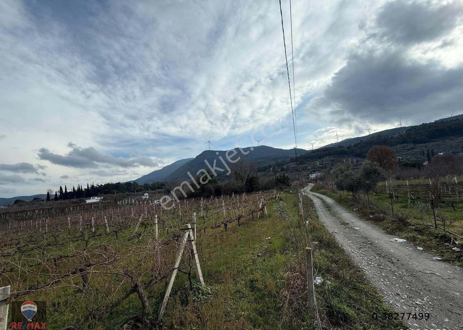 Kuşadası Kırazlı Köy Içınde Tek Tapu Satılık Bahçe - Görsel 3