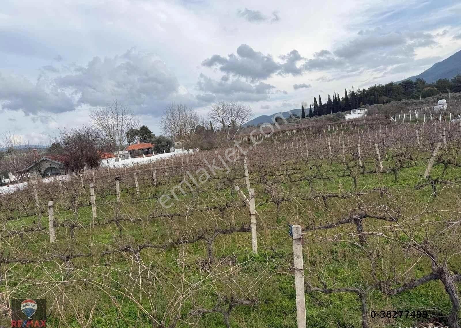 Kuşadası Kırazlı Köy Içınde Tek Tapu Satılık Bahçe - Görsel 13