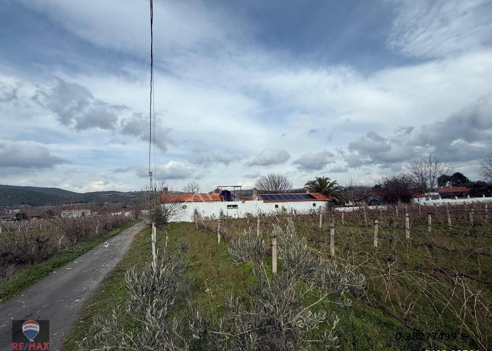 Kuşadası Kırazlı Köy Içınde Tek Tapu Satılık Bahçe - Görsel 19