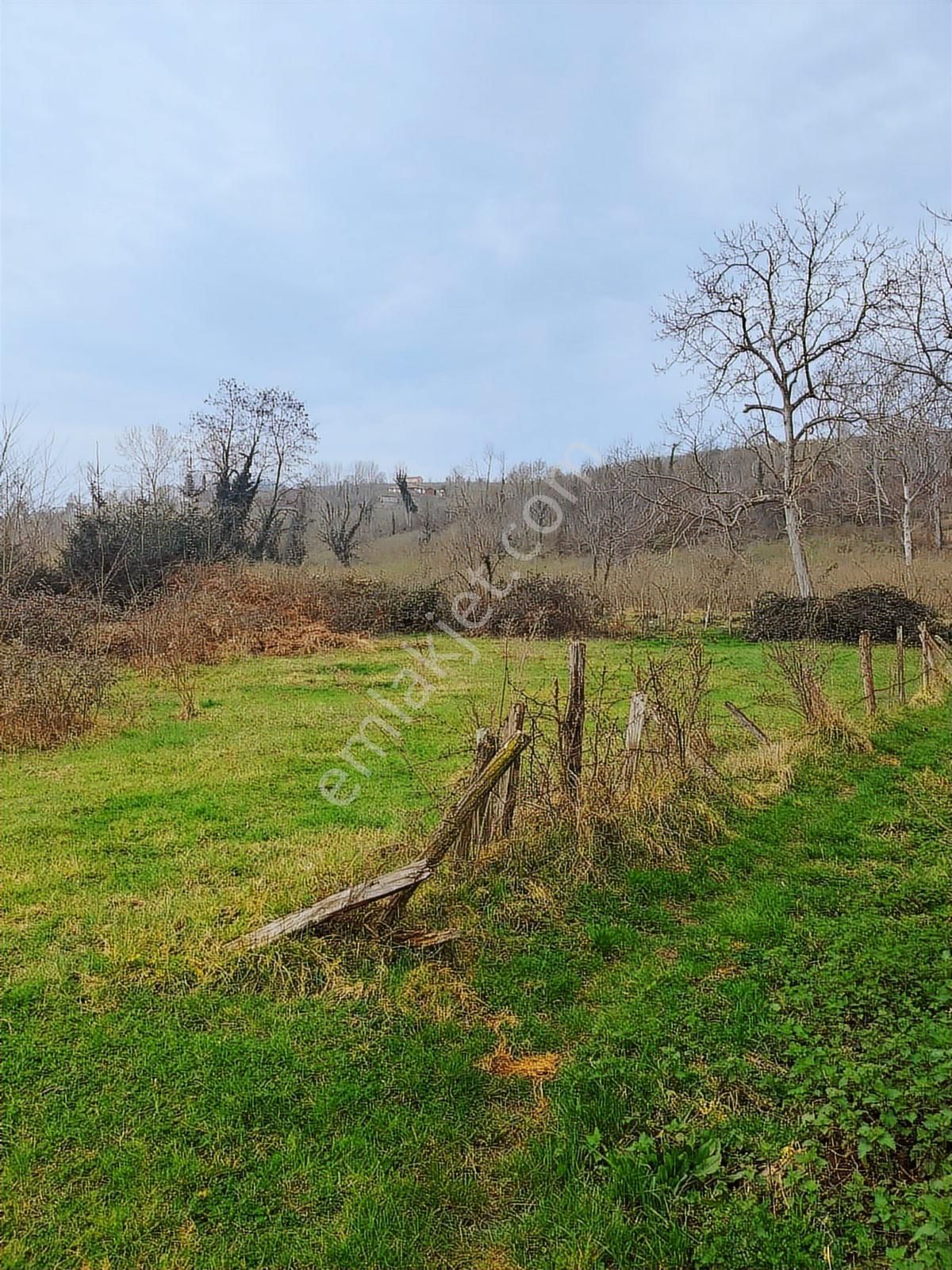 Vestha'dan Efirli'de Fırsat Harika Konumda İmarlı Arsa - Görsel 9
