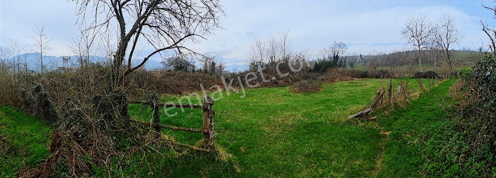 Vestha'dan Efirli'de Fırsat Harika Konumda İmarlı Arsa - Görsel 4