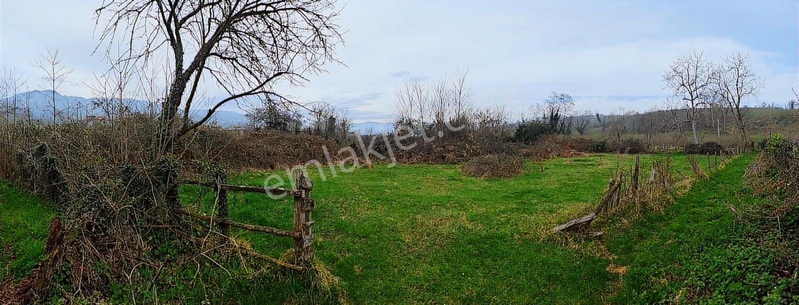 Vestha'dan Efirli'de Fırsat Harika Konumda İmarlı Arsa - Görsel 8