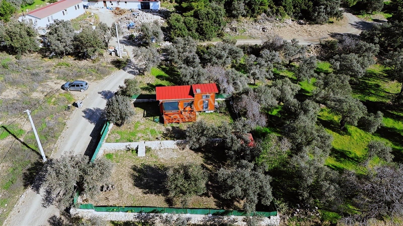 Hayıtbükü Plajına 450 M | Tiny House Mevcut | Ana Yola Cepheli - Görsel 22