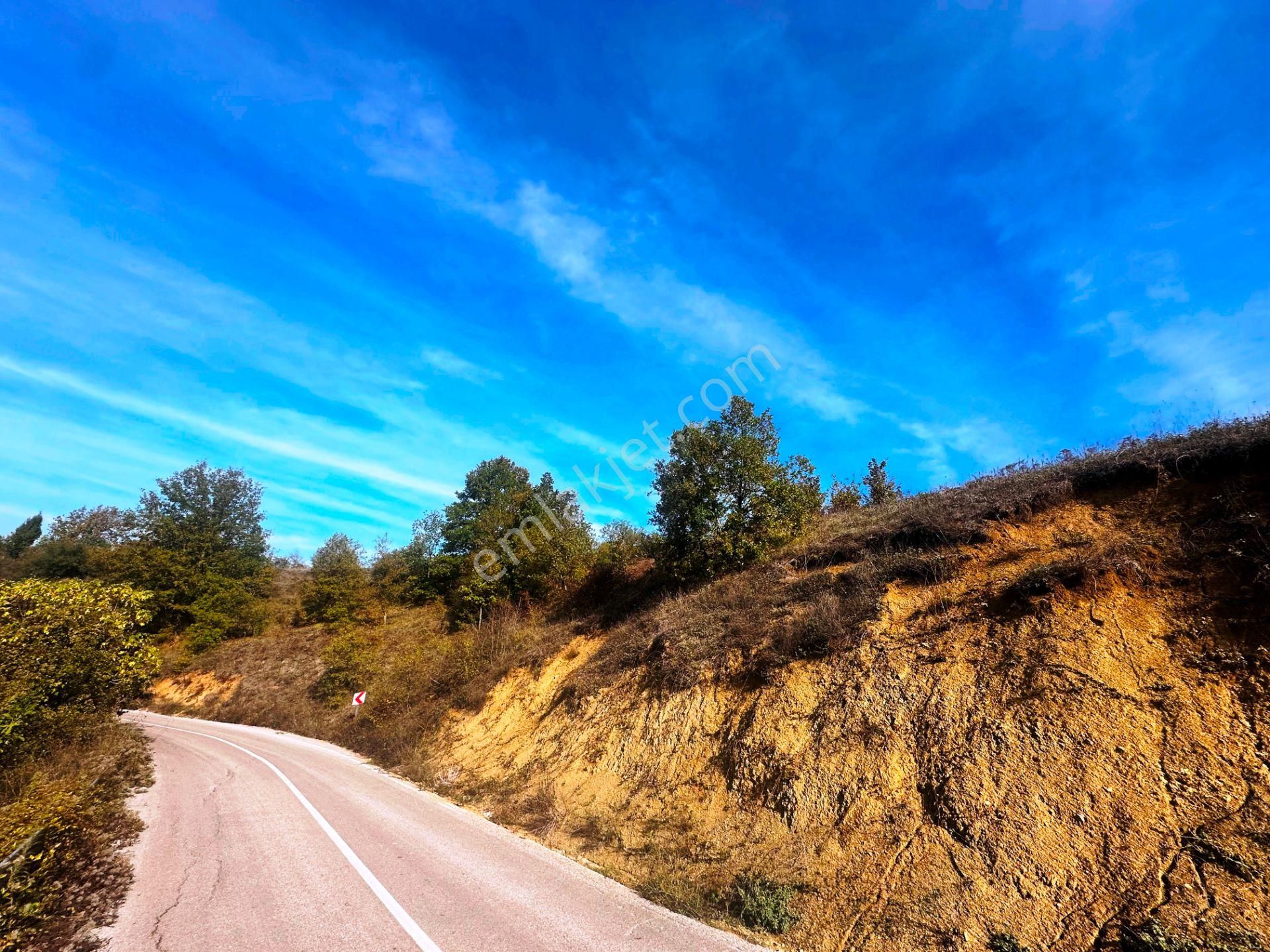 Kuzey Marmara Yolu Altı Gökçeören Köyü'nde 25.700m2 Satılık Arsa - Görsel 10