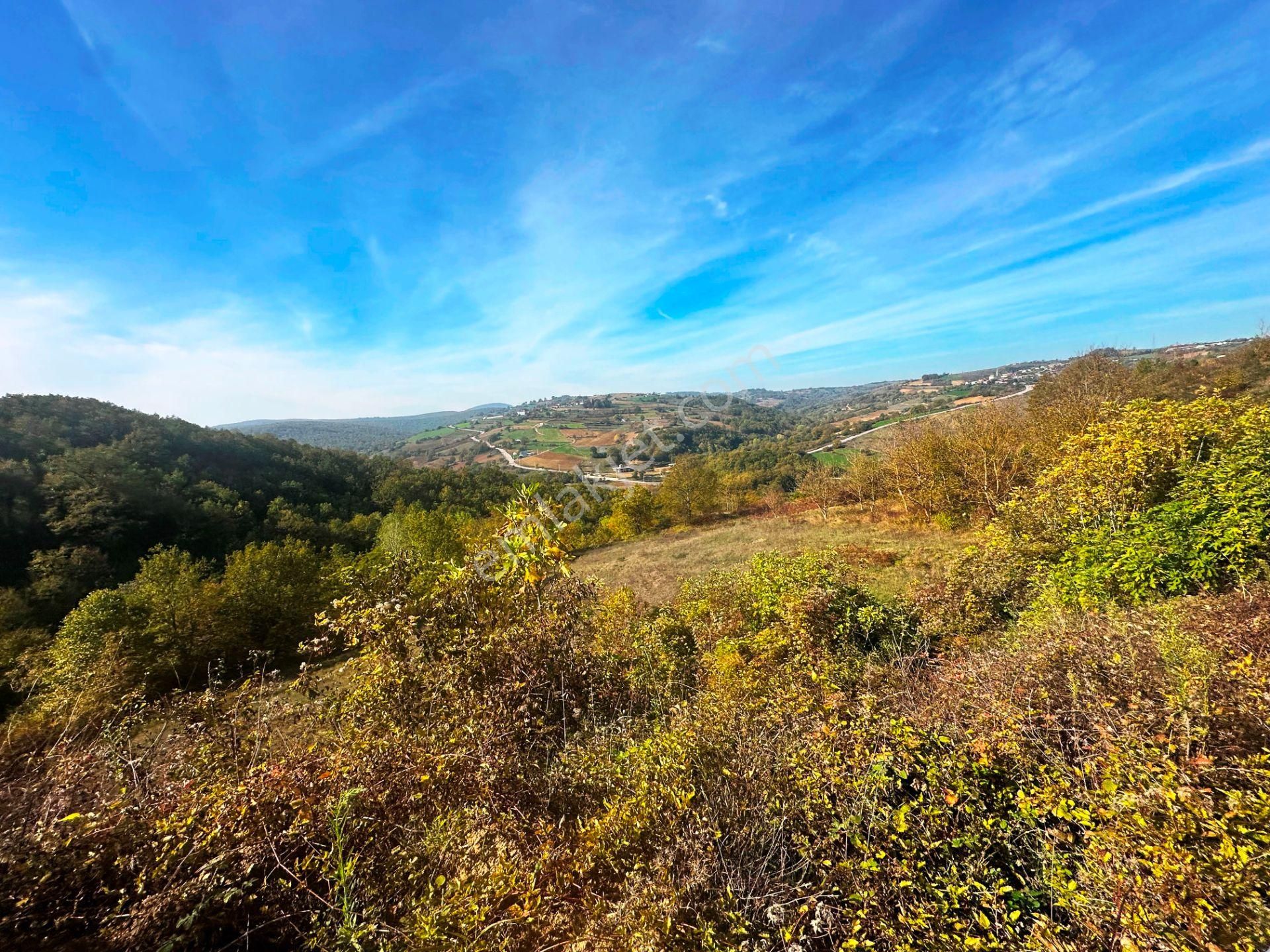Kuzey Marmara Yolu Altı Gökçeören Köyü'nde 25.700m2 Satılık Arsa - Görsel 20