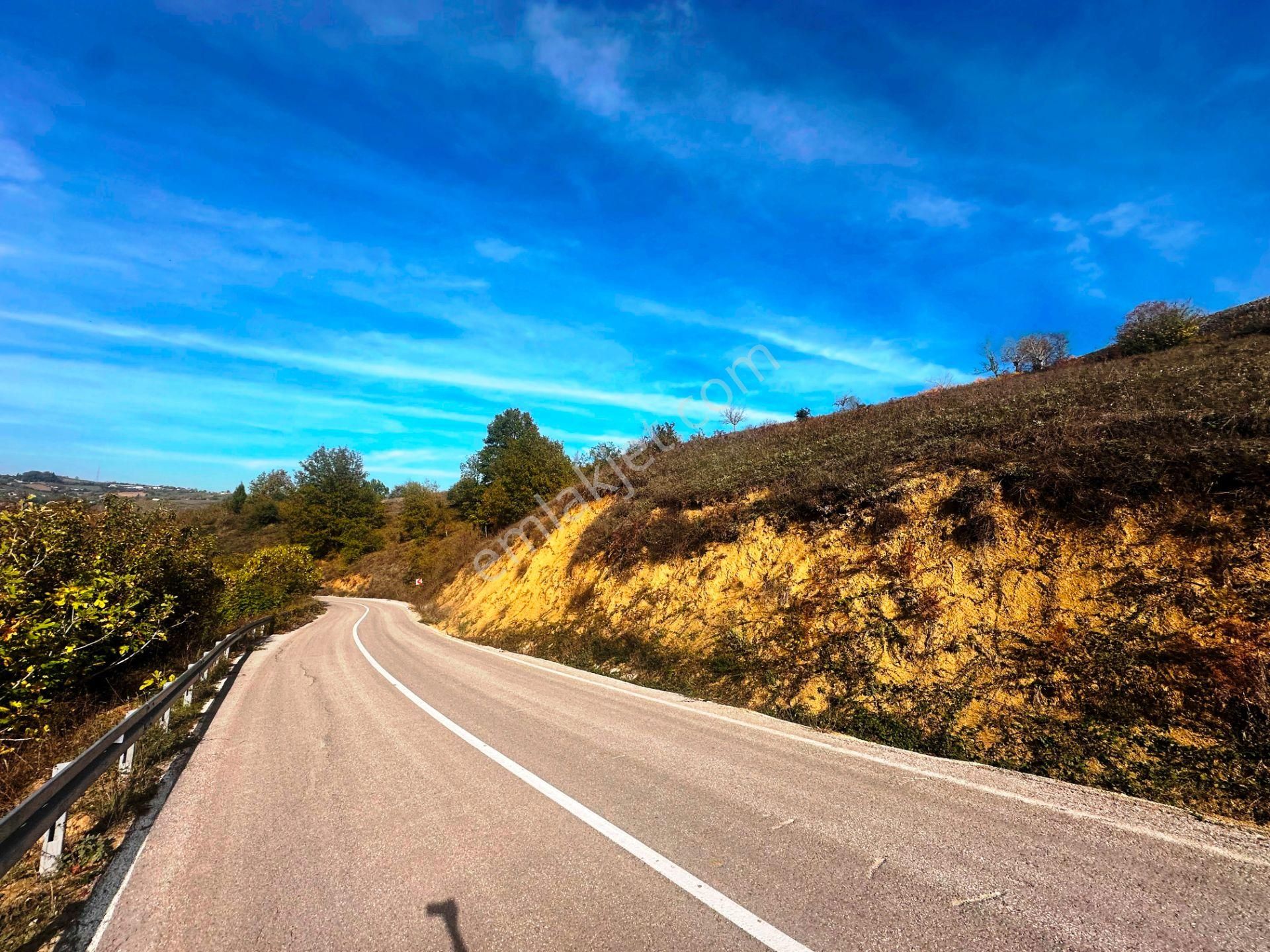 Kuzey Marmara Yolu Altı Gökçeören Köyü'nde 25.700m2 Satılık Arsa - Görsel 4