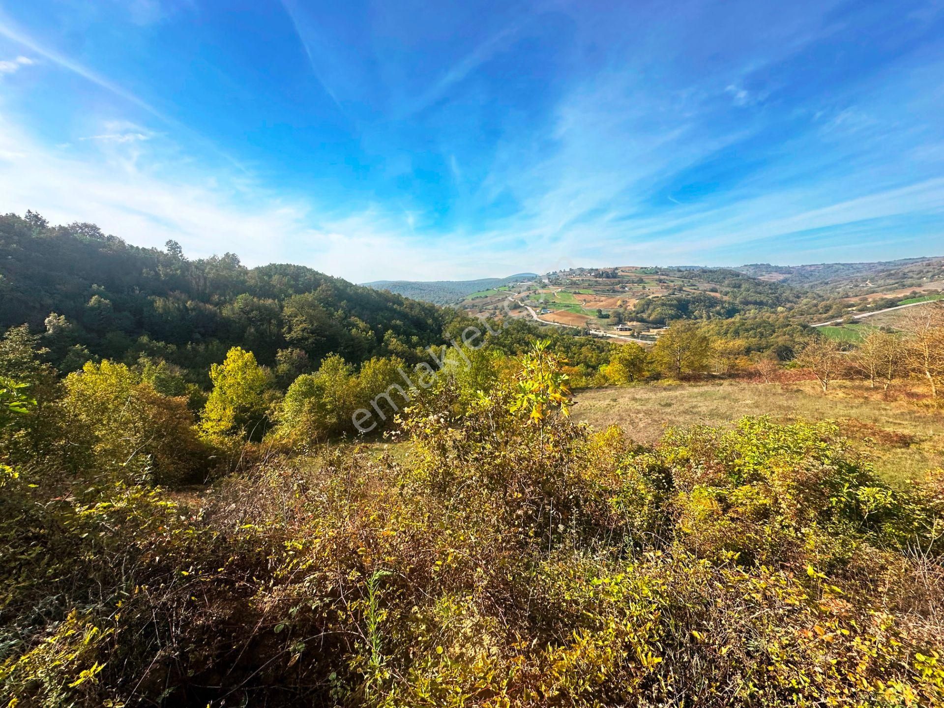 Kuzey Marmara Yolu Altı Gökçeören Köyü'nde 25.700m2 Satılık Arsa - Görsel 19