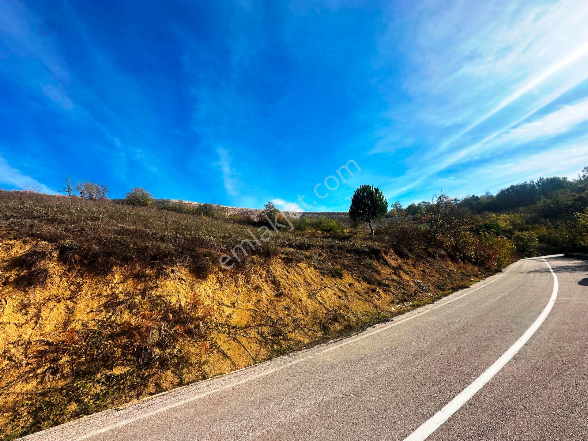 Kuzey Marmara Yolu Altı Gökçeören Köyü'nde 25.700m2 Satılık Arsa - Görsel 11