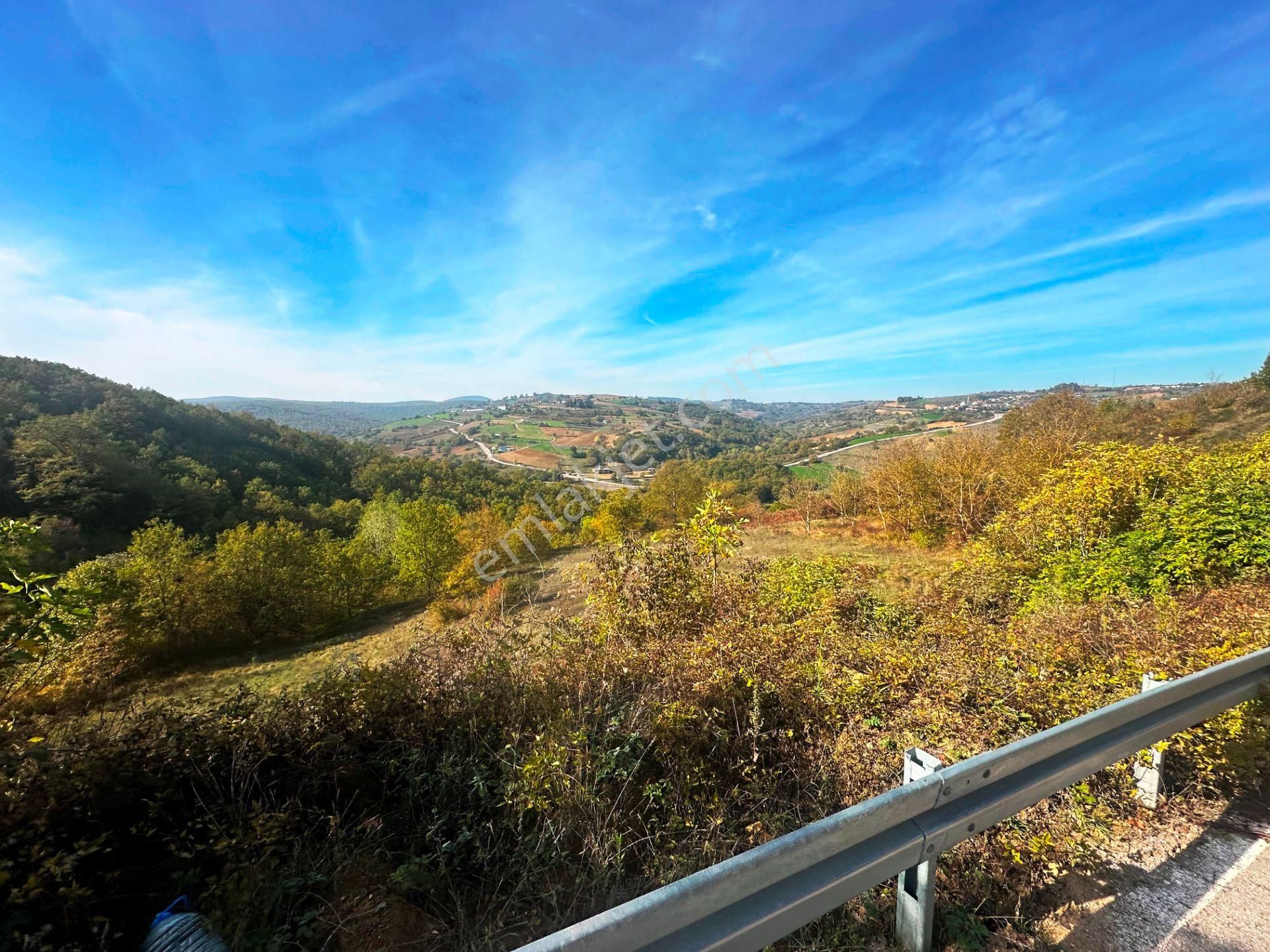 Kuzey Marmara Yolu Altı Gökçeören Köyü'nde 25.700m2 Satılık Arsa - Görsel 23