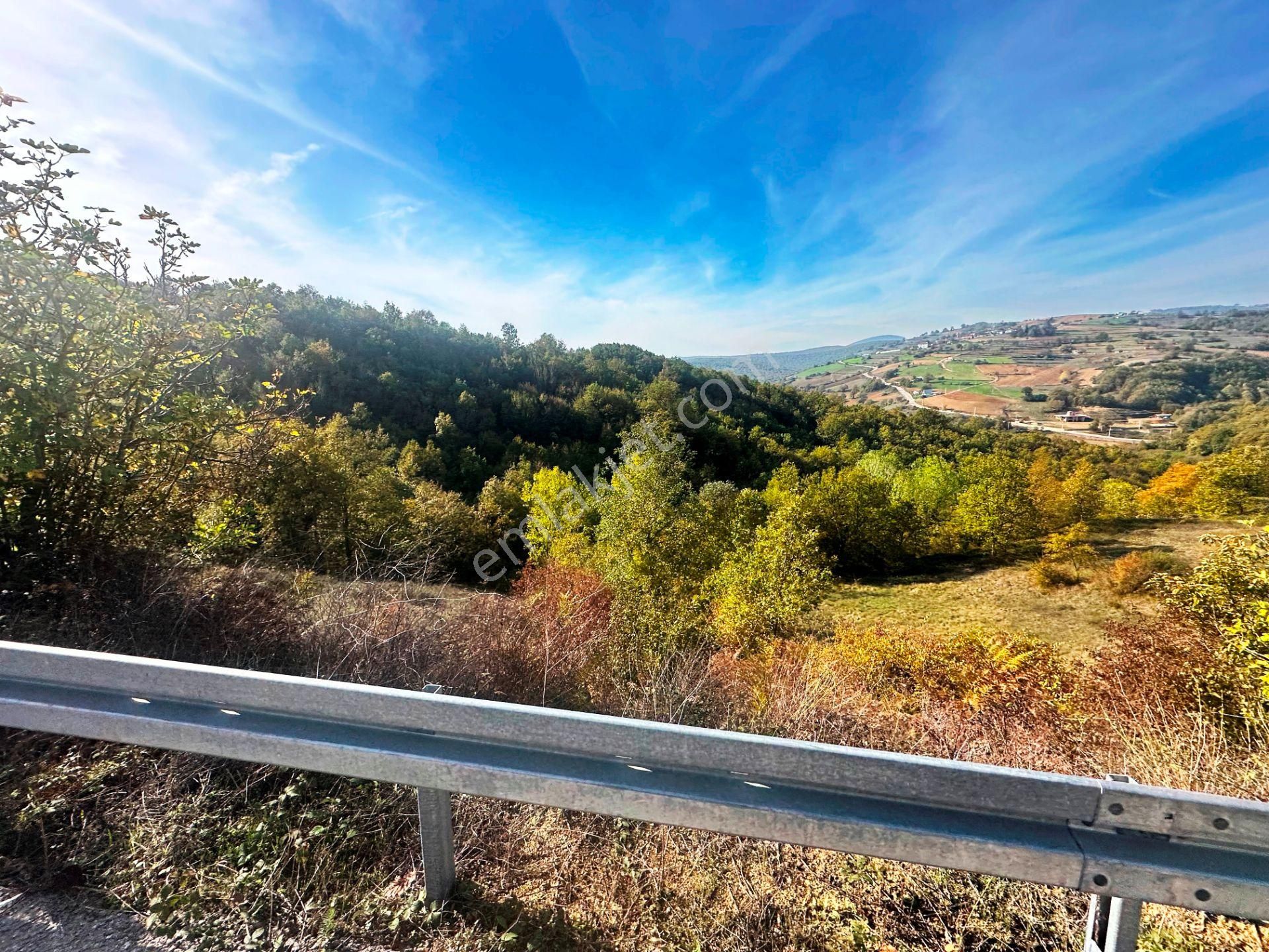 Kuzey Marmara Yolu Altı Gökçeören Köyü'nde 25.700m2 Satılık Arsa - Görsel 27