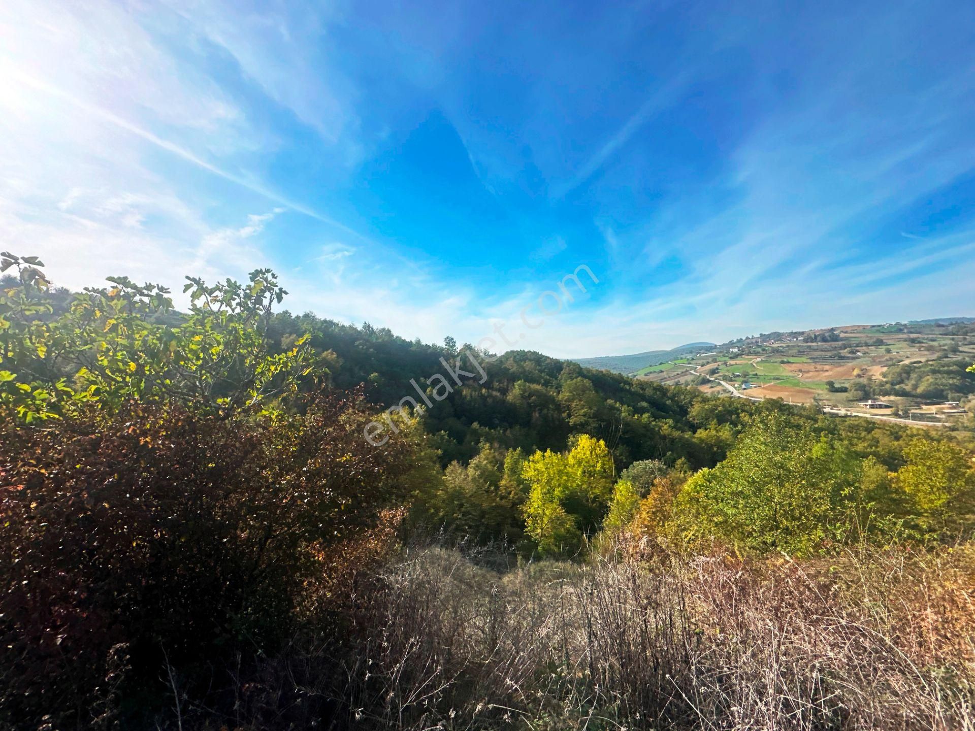 Kuzey Marmara Yolu Altı Gökçeören Köyü'nde 25.700m2 Satılık Arsa - Görsel 21