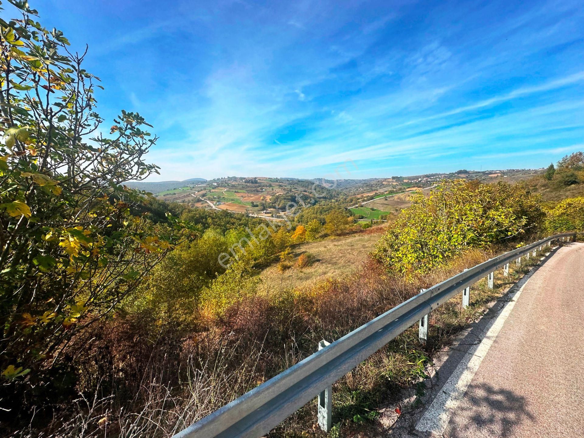 Kuzey Marmara Yolu Altı Gökçeören Köyü'nde 25.700m2 Satılık Arsa - Görsel 2