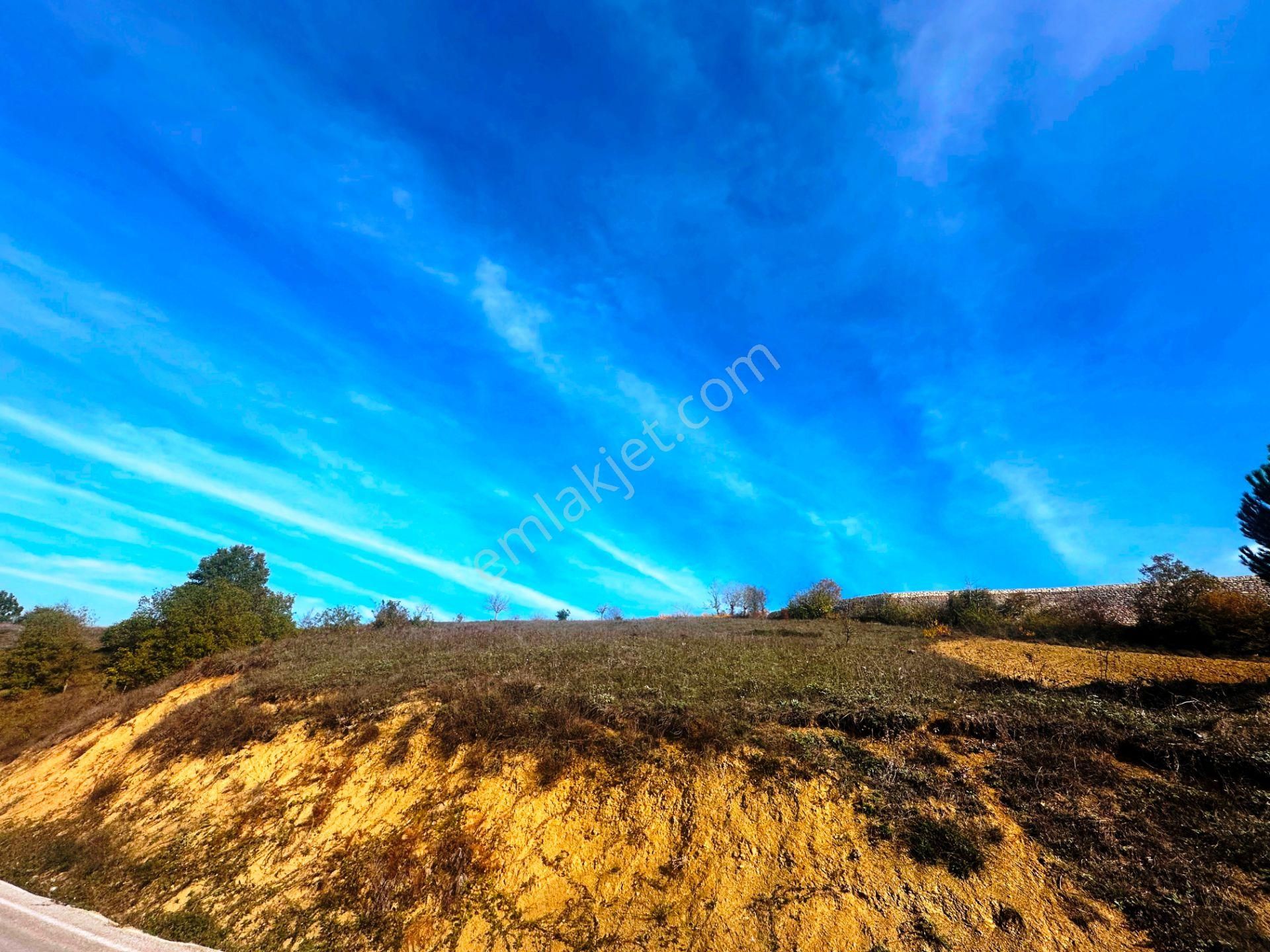Kuzey Marmara Yolu Altı Gökçeören Köyü'nde 25.700m2 Satılık Arsa - Görsel 17