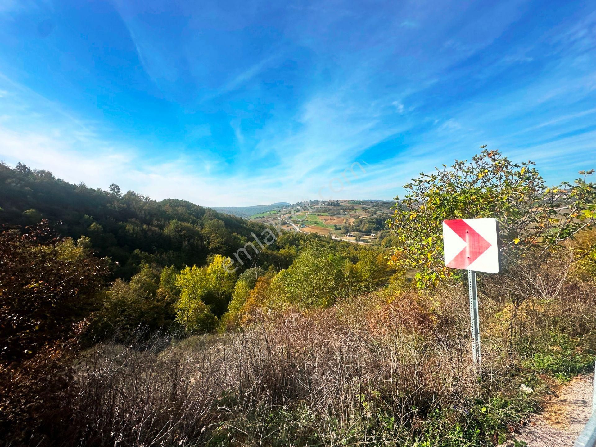 Kuzey Marmara Yolu Altı Gökçeören Köyü'nde 25.700m2 Satılık Arsa - Görsel 32