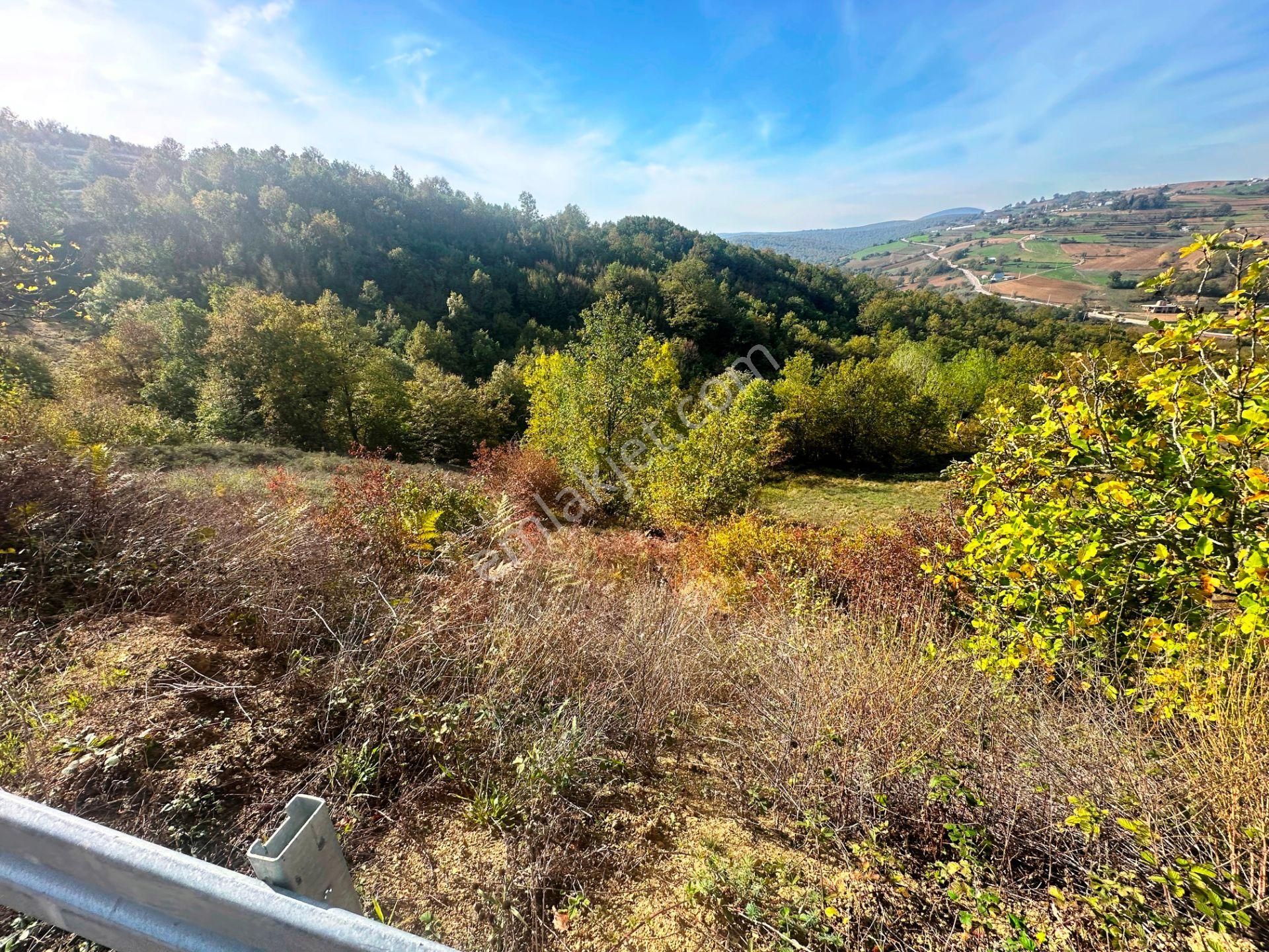 Kuzey Marmara Yolu Altı Gökçeören Köyü'nde 25.700m2 Satılık Arsa - Görsel 26