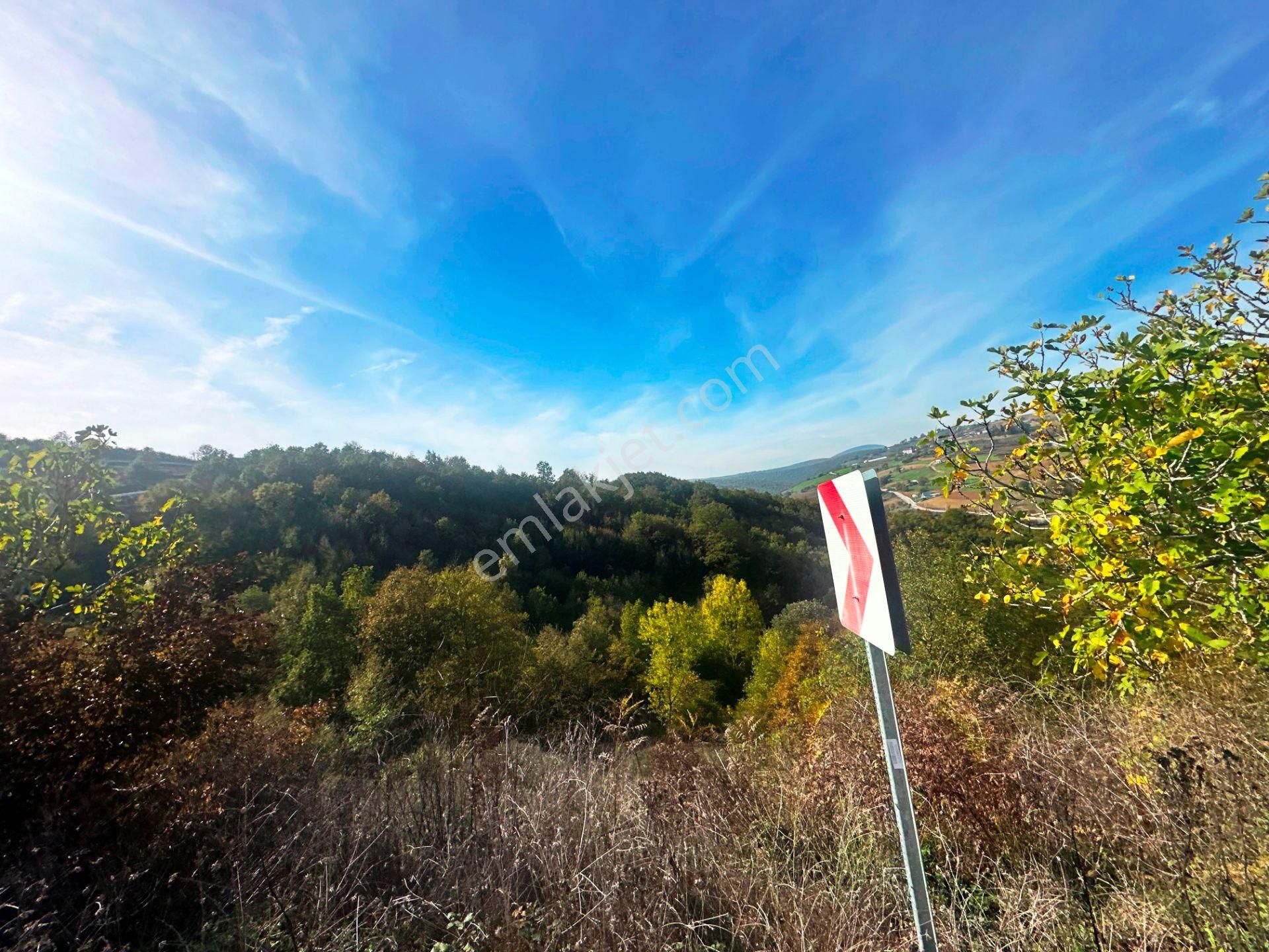 Kuzey Marmara Yolu Altı Gökçeören Köyü'nde 25.700m2 Satılık Arsa - Görsel 35
