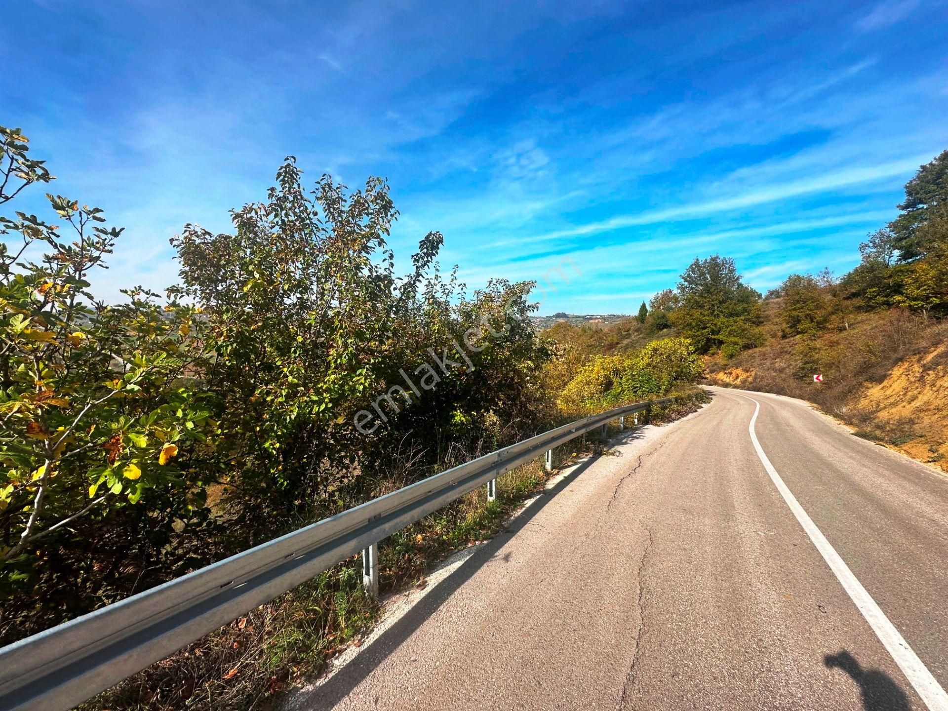 Kuzey Marmara Yolu Altı Gökçeören Köyü'nde 25.700m2 Satılık Arsa - Görsel 8