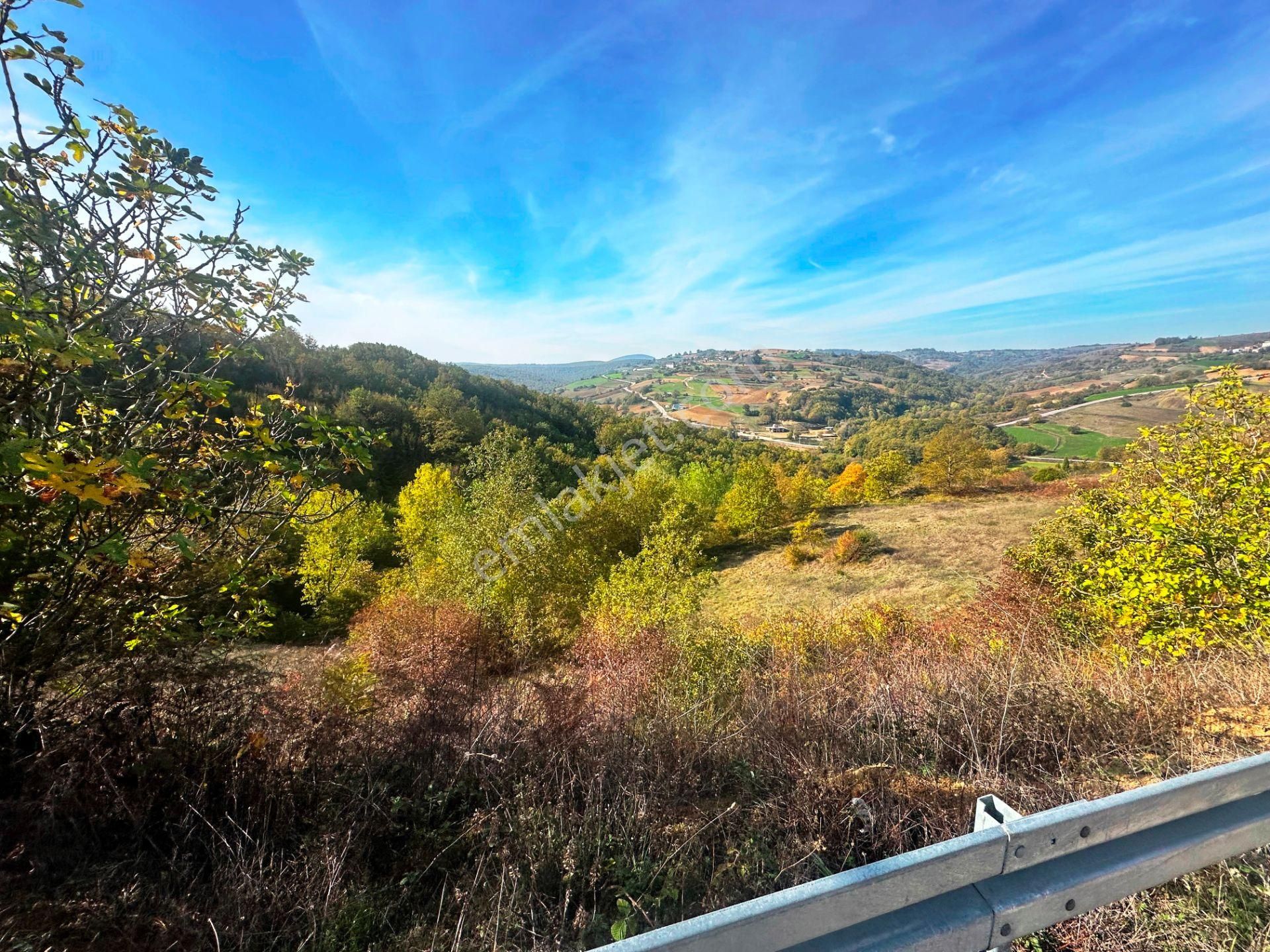 Kuzey Marmara Yolu Altı Gökçeören Köyü'nde 25.700m2 Satılık Arsa - Görsel 22