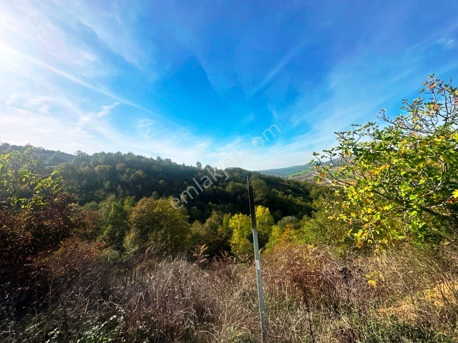 Kuzey Marmara Yolu Altı Gökçeören Köyü'nde 25.700m2 Satılık Arsa - Görsel 18