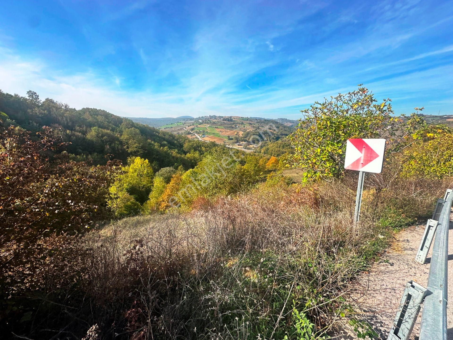 Kuzey Marmara Yolu Altı Gökçeören Köyü'nde 25.700m2 Satılık Arsa - Görsel 31