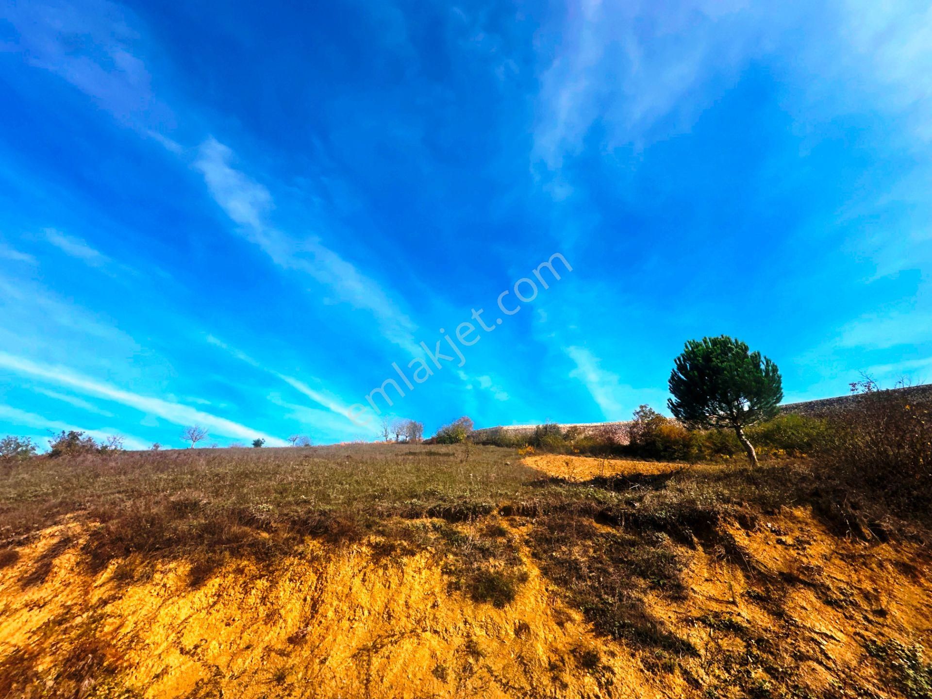 Kuzey Marmara Yolu Altı Gökçeören Köyü'nde 25.700m2 Satılık Arsa - Görsel 16