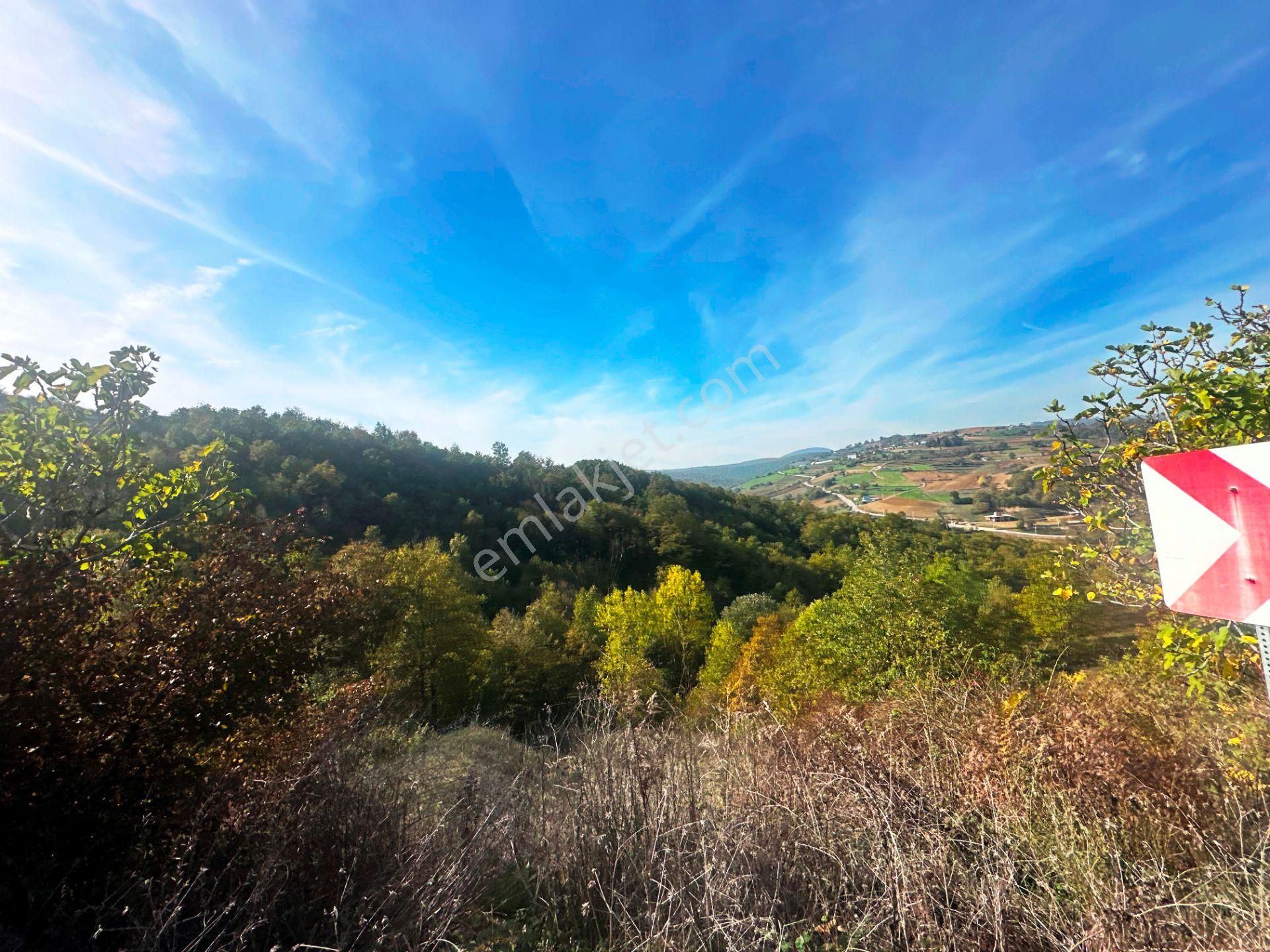 Kuzey Marmara Yolu Altı Gökçeören Köyü'nde 25.700m2 Satılık Arsa - Görsel 33