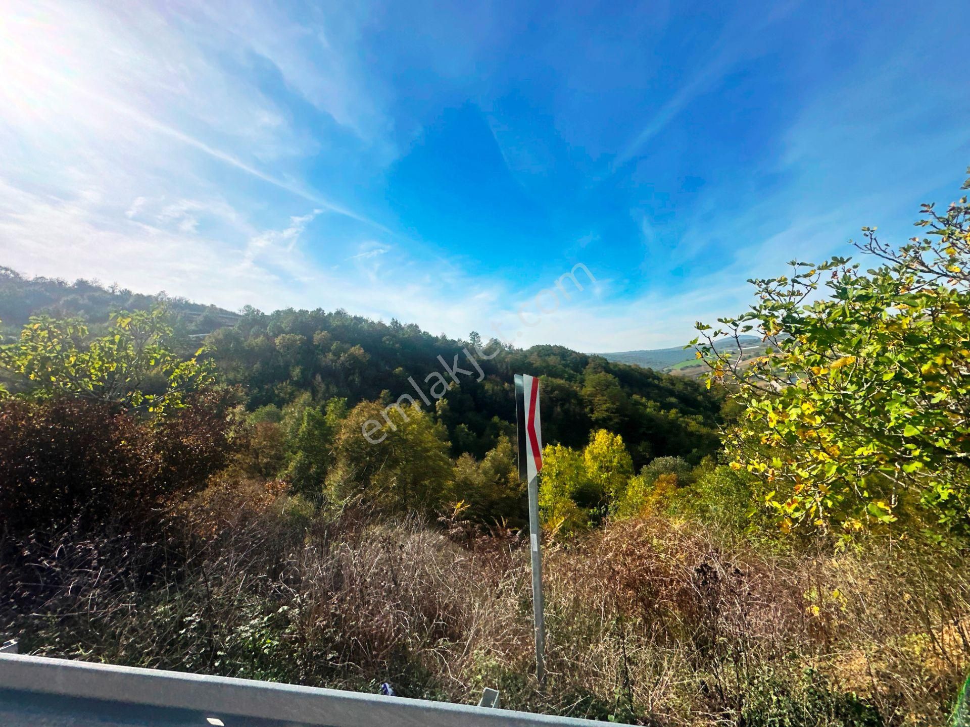 Kuzey Marmara Yolu Altı Gökçeören Köyü'nde 25.700m2 Satılık Arsa - Görsel 29